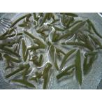 .....( последовательность лет )