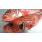 Yahoo! Yahoo!ショッピング(ヤフー ショッピング)形原漁港水揚げ！”蒲郡ワガ”　夢カサゴ　煮つけに最高！6/19水揚げ！！ウロコ、エラ、腹とってあります。１尾160ｇ前後