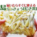  island rakkyou raw peeling under processing business use 3kg