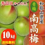 [ предварительный заказ начало ] прямая поставка от производителя Wakayama префектура производство юг высота слива ( синий слива ) превосходящий товар 10kg 3L размер и больше (3L из 4L размер смешивание ) 6 месяц поступление есть последовательность предварительный заказ заказ последовательность . последовательный отправка 