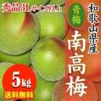 [ предварительный заказ начало ] прямая поставка от производителя Wakayama префектура производство юг высота слива ( синий слива ) превосходящий товар 5kg 3L размер и больше (3L из 4L размер смешивание ) 6 месяц поступление есть последовательность предварительный заказ заказ последовательность . последовательный отправка 