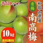 [ предварительный заказ начало ] прямая поставка от производителя Wakayama префектура производство юг высота слива ( синий слива ) превосходящий товар 10kg L размер 6 месяц поступление есть последовательность предварительный заказ заказ последовательность . последовательный отправка 