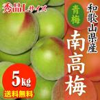 【予約開始】産地直送 和歌山県産 南高梅(青梅）秀品 5kg  Lサイズ ６月入荷あり次第予約ご注文順に順次発送