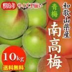 【予約開始】産地直送 和歌山県 訳あり 産南高梅(青梅）10kg サイズ不揃い 傷あり 訳あり ６月頃入荷あり次第順次発送