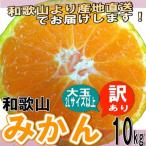 和歌山県産 訳あり みかん 大玉 (2Lサイズ以上) 10kg (傷あり サイズ不揃い )【送料無料】 10月中旬以降より発送開始