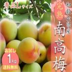 [ предварительный заказ прием начало ][ пробный ] Wakayama префектура производство юг высота слива .. слива превосходящий товар 1kg L размер бесплатная доставка 6 месяц средний . поступление есть последовательность заказ последовательность . отправка 