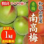[ предварительный заказ начало ][ пробный ] прямая поставка от производителя Wakayama префектура есть перевод производство юг высота слива ( синий слива ) 1kg размер не комплект царапина есть есть перевод 6 месяц примерно поступление есть последовательность последовательный отправка 