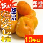 和歌山県産 訳あり たねなし柿 10kg 【まとめ買い】【送料無料】ご自宅用の平核無柿 平種柿 ひらたねかき サイズ不揃い 傷あり 脱渋処..