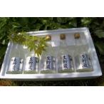日本酒 冷酒 千代の松 生貯蔵酒 300ml 5本入 小瓶 プレゼント ギフト 奈良県 芳村酒造