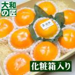 [ последовательный отправка возможность *] Nara префектура производство высококлассный . иметь хурма (.. хурма ) длительная долговечность хурма [3L размер 9 штук входит несессер ] фрукты фрукты .. устрица хурма . хурма .....