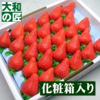  Tokushima префектура производство .. Kawauchi . Sakura .. клубника [28 шарик ввод несессер ] фрукты фрукты клубника клубника . ответ подарок Valentine день св. Валентина 