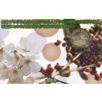 [ эпоха Heisei 20 год ] Япония Brazil переменный ток год и день сам Brazil ..100 anniversary commemoration . ввод деньги комплект 2008 год мята комплект [ памятная монета ]