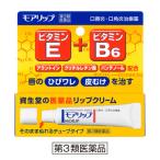 【資生堂認定オンラインショップ】モアリップN 医薬品リップクリーム【第3類医薬品】