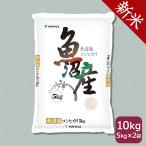 ショッピング米10kg 【新米】米 お米 魚沼 10kg コシヒカリ 新潟県産 5kg×2 令和7年産 白米