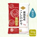 米 お米 無洗米 コシヒカリ 5kg 新潟県産 令和5年産