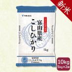 コシヒカリ 10kg 白米 富山県産 5kg×2 米 お米 令和5年産 お中元 お歳暮