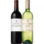 [ бесплатная доставка ] man z вино sola белка Yamanashi * Nagano 2 шт. комплект [ каталог размещение товар ][ другой товар одновременно покупка не возможно ][ наложенный платеж расчет не возможно ]