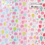 生地 綿 コットン スケ