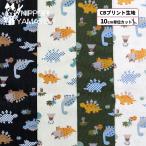  ткань хлопок CB принт ~Nuance Kids серии ~CB принт COCO2520#3 динозавр рисунок входить . входить . ткань ширина 110cm 10cm единица измерения распродажа ткань ткань 