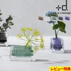 ショッピング花瓶 特典付 +d ミチクサ オーバル h concept 花瓶 一輪挿し 楕円形 生け花 コンパクト ミニ 日本製 MICHI-KUSA Oval おしゃれ プラスディー アッシュコンセプト