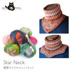 編み物 キット 毛糸 編み図 / SCHOPPEL(ショッペル) Star Neck(スターネック) 毛糸と編み図のセット