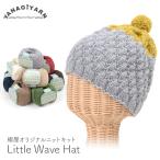 編み物 キット 毛糸 編み図 / YANAGIYARN(ヤナギヤーン) Little Wave Hat(リトルウェーブハット) / 柳屋 ベルンド・ケストラー コラボ