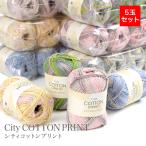 毛糸 セール コットン 100% まとめ買い 5玉 / SKI YARN(スキー毛糸) シティコットンプリント 5玉セット 春夏 / 在庫セール特価