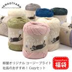 送料無料 毛糸 福袋 柳屋オリジナル / YANAGIYARN コージーブライト 社長のおすすめ! Cozyセット