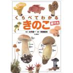 ku... understand .. .. size large (.... understand illustrated reference book )