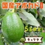 [2024 годовой объем прием окончен ][5 шар ограничение!] ширина гора фруктовое дерево .. [chokete( местного производства авокадо ) маленький размер (400g)1 шар ] подарок в коробке 