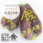  Miyazaki префектура специальный продукт [. земля ...]. земля ...B товар 10шт.