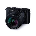 Panasonic（パナソニック）LUMIX S9 標準ズームレンズキット（20-60mm）ジェットブラック DC-S9K-K