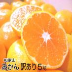 和歌山産の温州みかん/ちょっとだけ訳あり・ご家庭用 5kg  ワンランク上の訳アリみかん