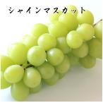  автомобиль in мускат примерно 2kg(3~5.) Wakayama производство * Kagawa производство * Yamanashi производство * Okayama производство бесплатная доставка 