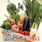 ショッピング野菜 野菜詰め合わせ 新鮮旬の野菜セット 10種以上 和歌山産中心 送料無料