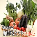 野菜セット 旬の野菜詰め合わせ 13種以上 和歌山産中心 送料無料