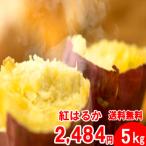 紅はるか 5kg入り 訳あり大小混合 送料無料 2セット以上のご購入で、新鮮野菜のおまけ（同一配送先に限ります)　焼き芋 に最適な 蜜芋 5営業日以内 発送可