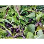 Yahoo! Yahoo!ショッピング(ヤフー ショッピング)ベビーリーフ 福井県産 農園たや 福井県産 生産者指定 八百屋テクテクセレクション クール冷蔵便 本州・四国は送料無料 商品説明書同封