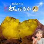 本場鹿児島 焼き芋屋が送る 訳あり 熟成さつまいも 5kg 選べる品種【紅はるか・紅まさり】サツマイモ