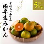 極早生みかん 家庭用 5