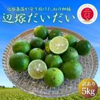 国産レモン よりまろやか◎5kg〈入手困難〉幻の香り柑橘 【辺塚だいだい】ノーワックス 防腐剤不使用  無農薬・香酸柑橘・ビタミンC豊富！ポン酢・焼酎に