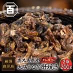 ショッピングうなぎ 絶品 珍味【大隅うなぎ】肝焼き 100g×2おつまみ 鰻蒲焼 スルメ好きに