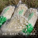  Tottori производство .. ..lenoki.. . только .. . грибы кастрюля тест .. бекон наматывать .. предмет клетчатка этот день отправка на следующий день надеты одиночный товар иметь машина овощи * столица овощи. Kyoto ....