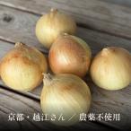  Kyoto производство высота сахар раз шар лук порей l.. шар лук порей лук репчатый tama лук-батун oni on ломтик салат сырой еда sote- этот день отправка на следующий день надеты одиночный товар иметь машина овощи * столица овощи. Kyoto ....