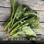  Shimane производство шпинат l.... похоже howe объединенный ... лист предмет овощи синий .....sote- этот день отправка на следующий день надеты одиночный товар иметь машина овощи * столица овощи. Kyoto ....