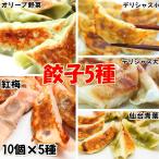 ショッピングギョウザ 厳選餃子5種セット餃子100個 肉 冷凍 ギョウザ お惣菜 梅 あおば 小松菜 ほうれん草 手作り 家庭 自宅 焼き餃子 点心 お取り寄せ グルメ タレなし 中華料理