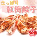 ショッピングギョウザ 紅梅餃子(20g×50個) ウメ 冷凍 ぎょうざ ギョウザ お惣菜 手作り 家庭 自宅 焼き餃子 惣菜 点心 お取り寄せ グルメ タレなし 送料無料