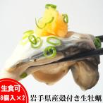  Iwate префектура производство сырой еда для очень большой . имеется ..8 штук входит ×2 пакет устрица . есть рефрижератор Tohoku большой L размер no low il s инспекция завершено праздник подарок подарок прямая поставка от производителя 