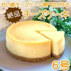 チーズケーキ ホール 6号 チーズケーキ専門店 誕生日 スイーツ お祝い 宮城 仙台 ニューヨークチーズケーキ ベイクド 送料無料 クリスマス 人気