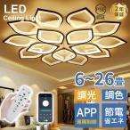蓮の花 シーリングライト led シャンデリア リビングルームリモコン アクリル 照明器具 天井照明 6-20畳 屋内ランプ ホーム 調光可能 取り付け説明書あり